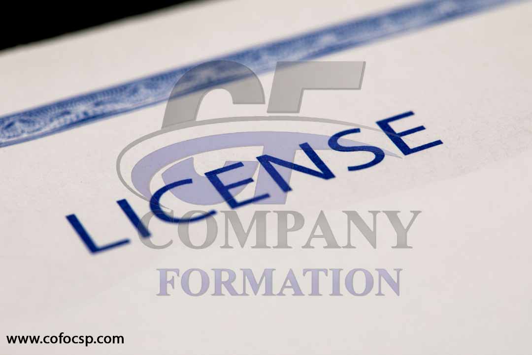 Different Types of Trade License in Dubai, UAE