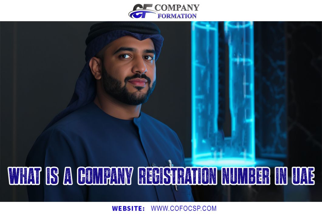 What is a Company Registration Number in UAE